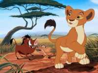 ������ ��� 2: �������� �����