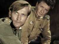 � ��� ���� ���� ��������