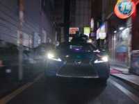 ׸���� �������