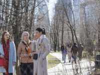 ���� ��������� ���