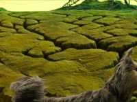 ������ �����