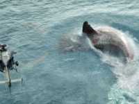 ���: ������ �������