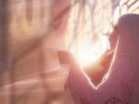 ������ ���������� ���� ������� ��������