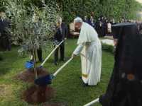 ���� ��������. ������� �����