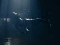 �������: �� ��� ���� ����