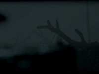 ��������� �����