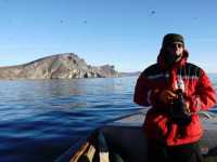 ������� �������� ����