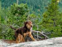 ���� �����