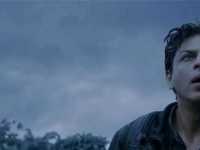 ���� ����� ����