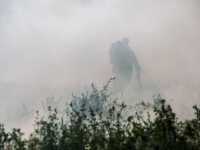 �������� Z