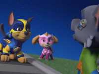 ������� �������: ���������