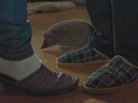 ����� ��������� �������