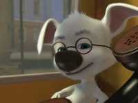 ����� � �������: ������� �������