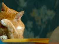 �������