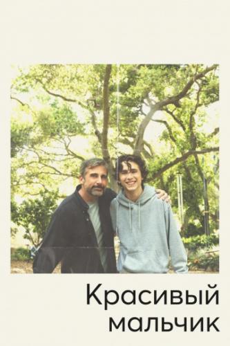 �������� ������� / Beautiful Boy (2018)