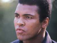 ���� ����� �������� ���