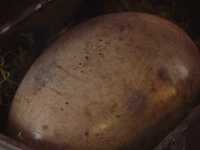 ������� ������� �������