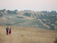 ��� ������ ���������