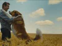 ������� ����� 2