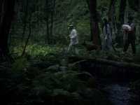 ����-�� ����-��