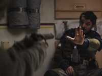 �����������