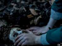 ����� 2: �����