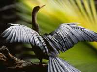 ��������: ���������� �� ���������