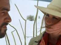 �������� ������