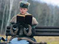 ����-���������