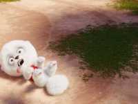 �������. ���������� �����������