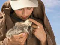 �������� ������