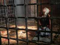 �������