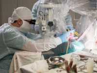 ������������ ������