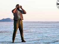 ������ ����