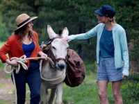 �����, �������� � �