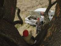 ����, �����!