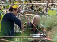 ���� ��������� ���