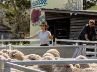 ��������� ���������