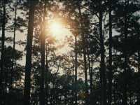 ������: ������� �������