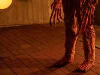 ������� ��������� �������� ���� ����