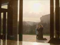 ���� ����� ����