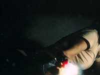 ��������: ������ �������