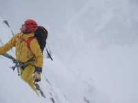 ������� ������