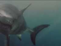 ������ �� ������