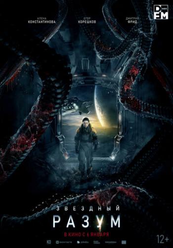 ������� ����� (2022)