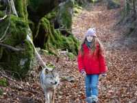 ��� ����