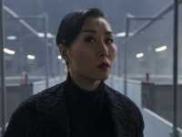 ������ �� �����������