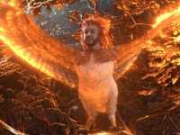 ��������� ��������: ��������� ����