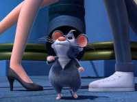 ���� ��������