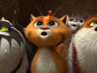 ���� ��������